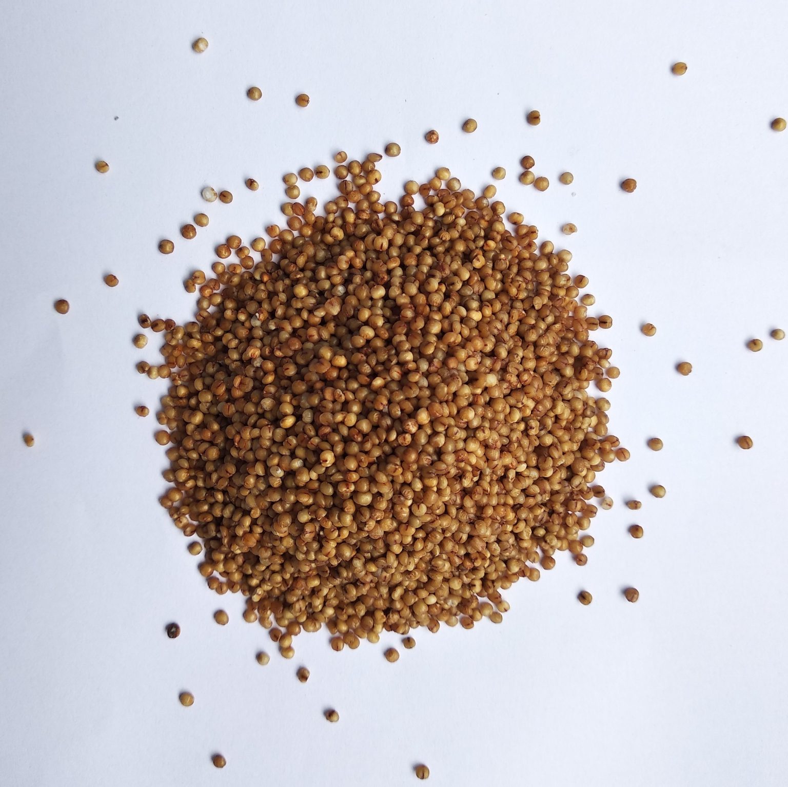 SiriMart Organic Unpolished Millets Combo Bulk pack of 5 (5 x 4kg) All 5 Positive Millets 4kg